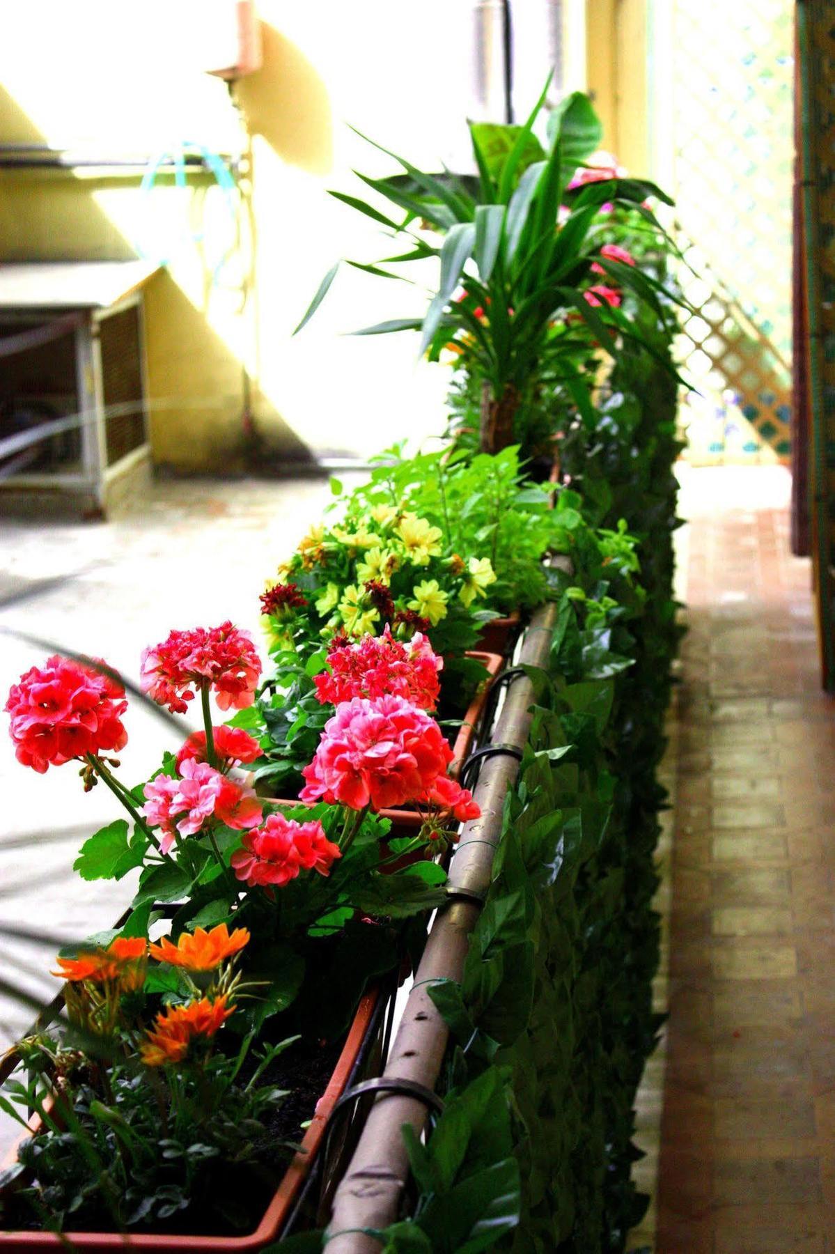 Albergue Legend R.g. Roma